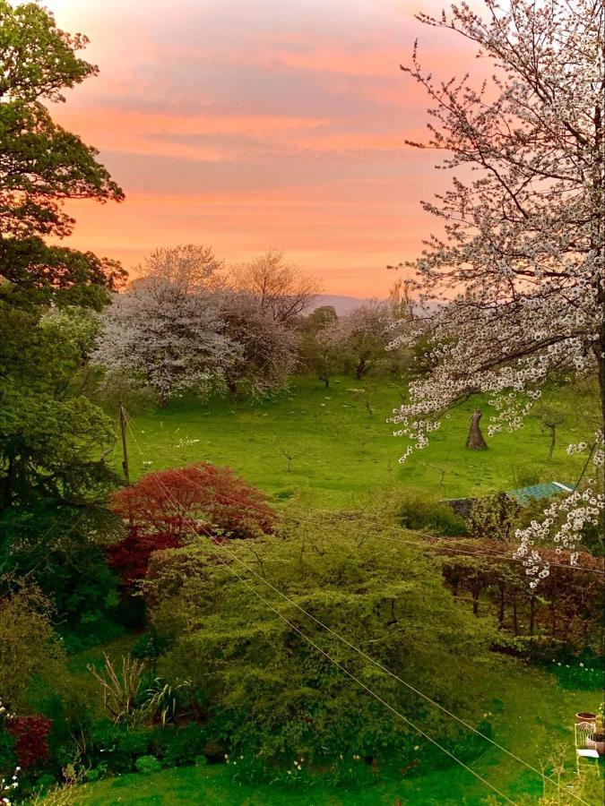 The Ruin Luxury B&B Falkland Dış mekan fotoğraf